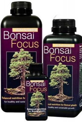 Bonsa-Focus-100-ml-York-Bonsai-Engrais-liquide-0