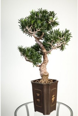 Bonsai-podocarpus-artificiel-en-pot-313-feuilles-80-cm-rsistant-aux-intempries-bonsai-synthtique-arbre-artificiel-artplants-0