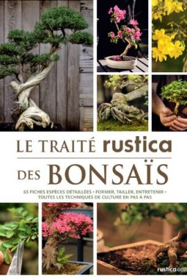 Le-trait-rustica-des-bonsas-0