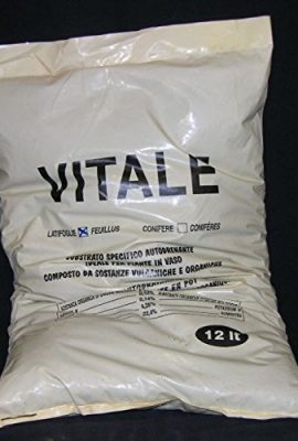 Vital-Substrat-Autodrenante-Feuillus-de-12-Litres-0